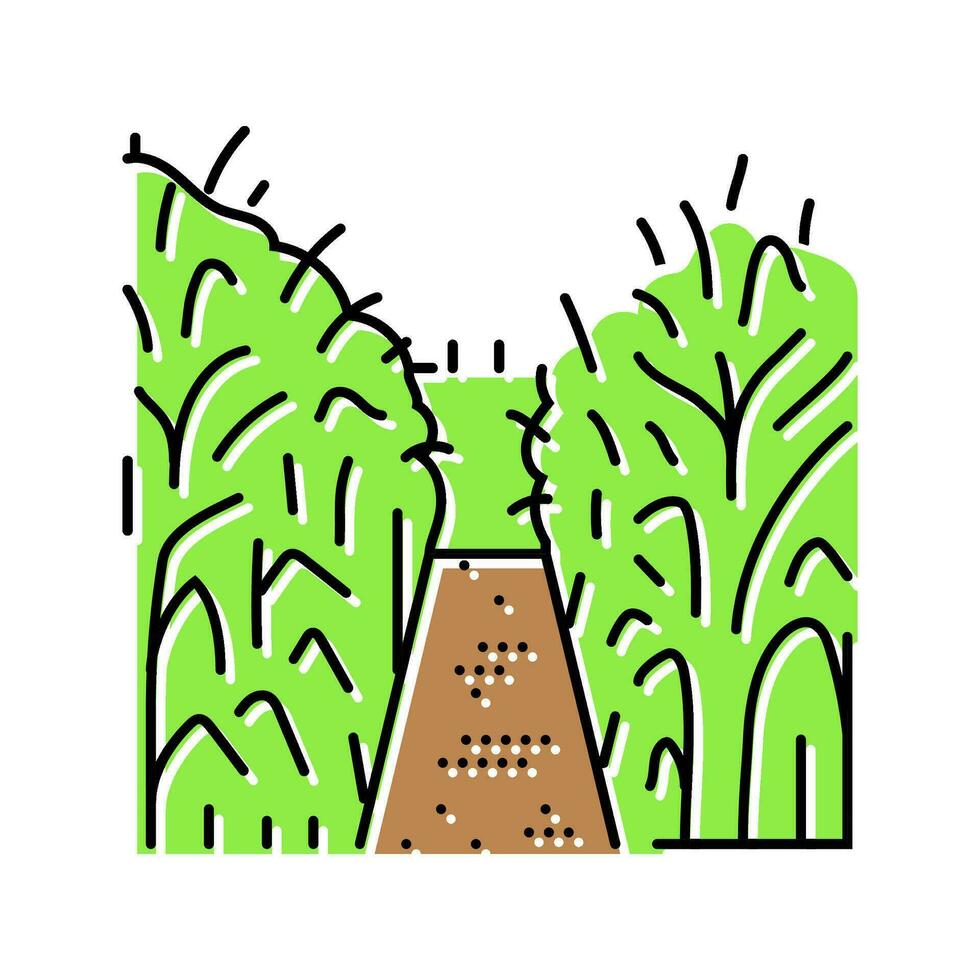 corn maze autumn season color icon vector illustration