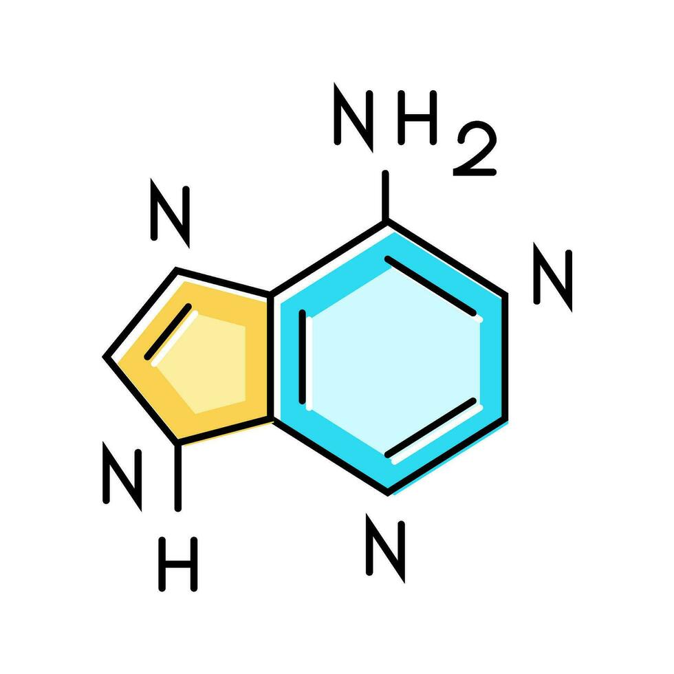 nucleico ácido bases bioquímica color icono vector ilustración