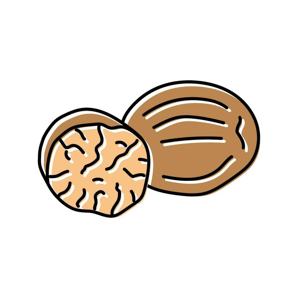 nutmeg food herb color icon vector illustration