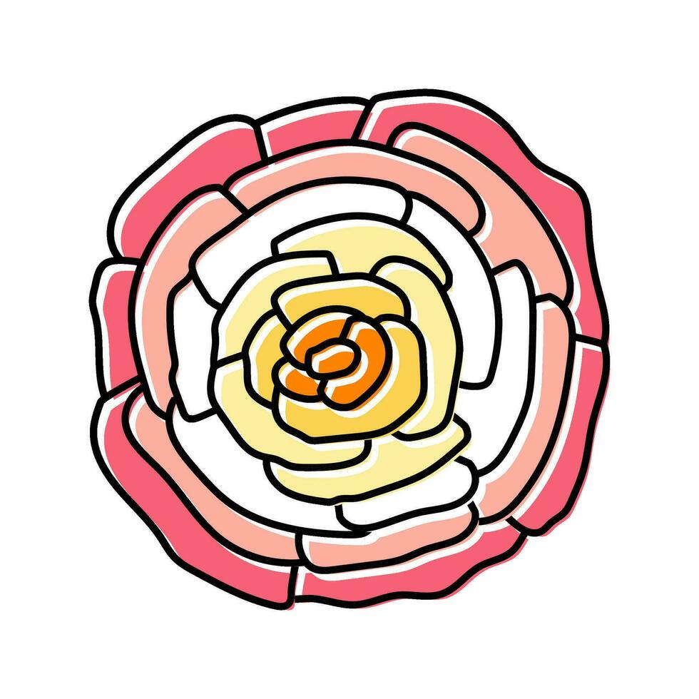 ranunculus flower spring color icon vector illustration