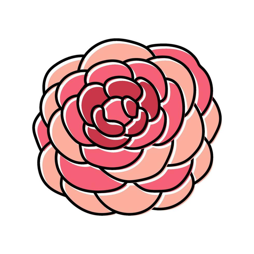 camelia flor primavera color icono vector ilustración