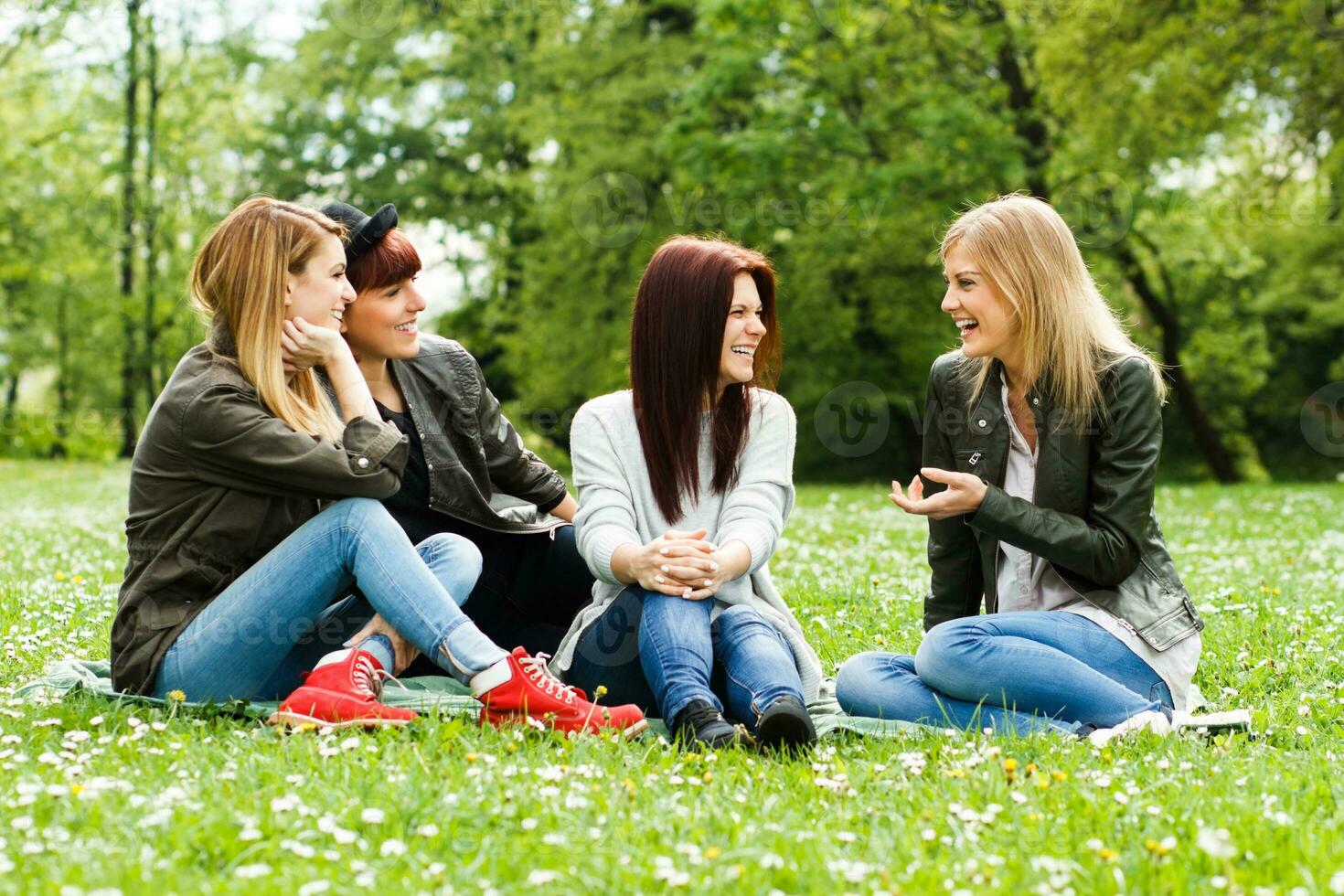 Friends talking in the park photo