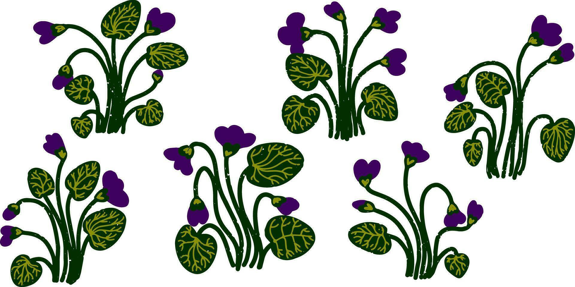 un conjunto de púrpura flores con verde hojas vector
