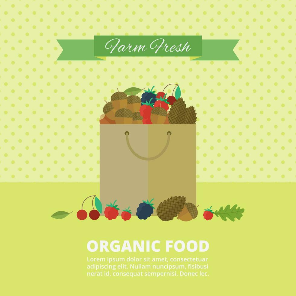 Illustration with berries and nuts in paper bag vector