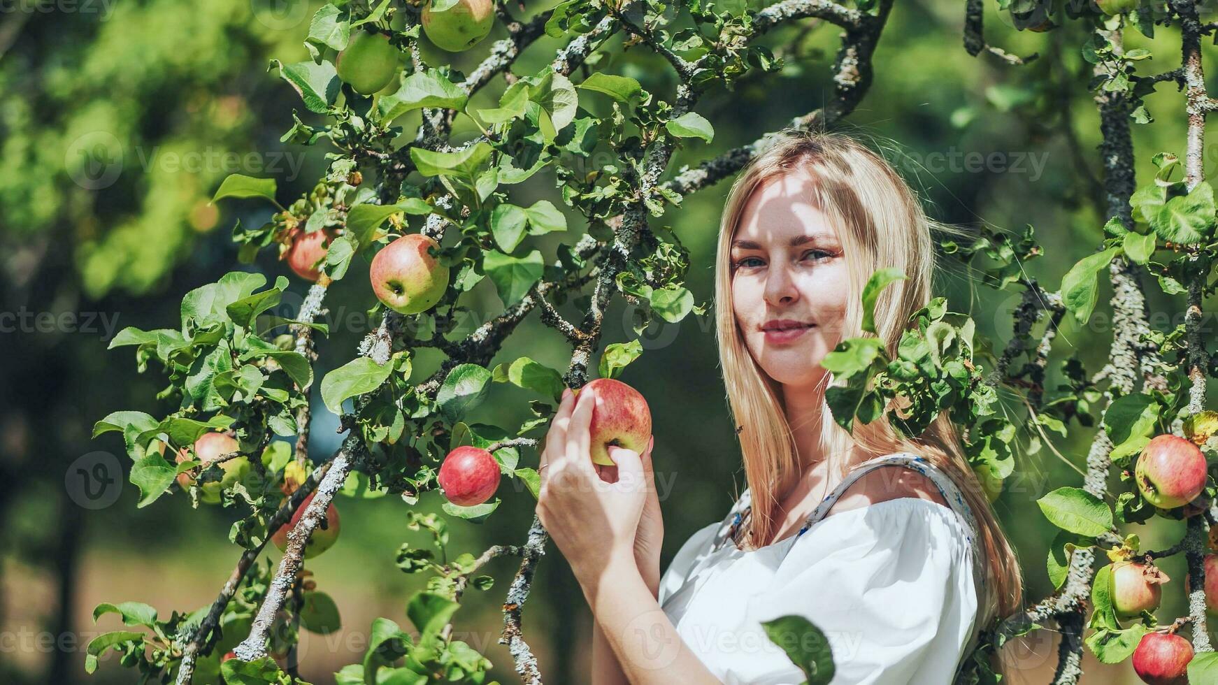 A young woman in paradise posing by the branches of an apple tree. photo