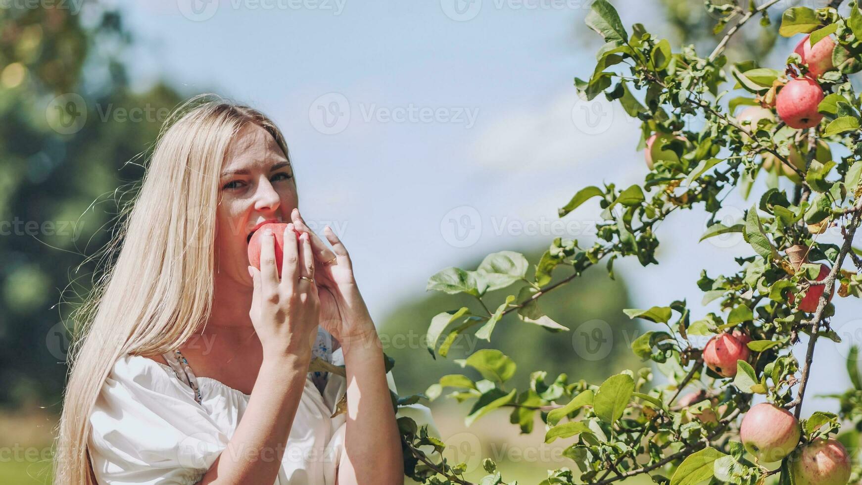 A young woman plucks an apple from a tree and eats it. photo