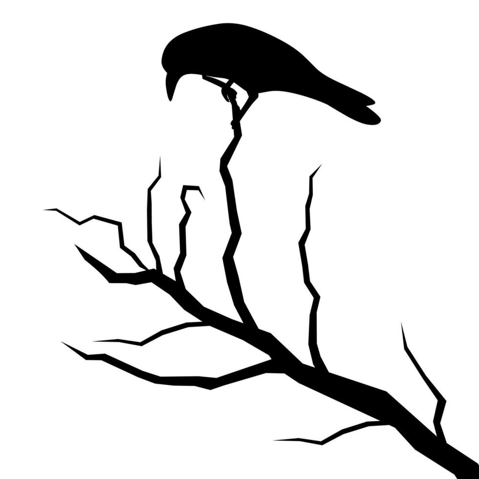 Vector silhouette of a crow perched on a dry tree branch. Element for Halloween, wall decoration, wall sticker, isolated on white background.