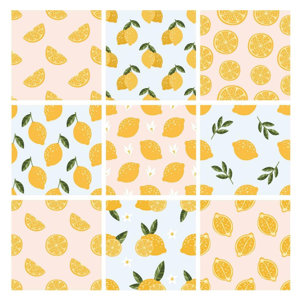 Collection of seamless pattern. Lemon, leaves and flowers vector