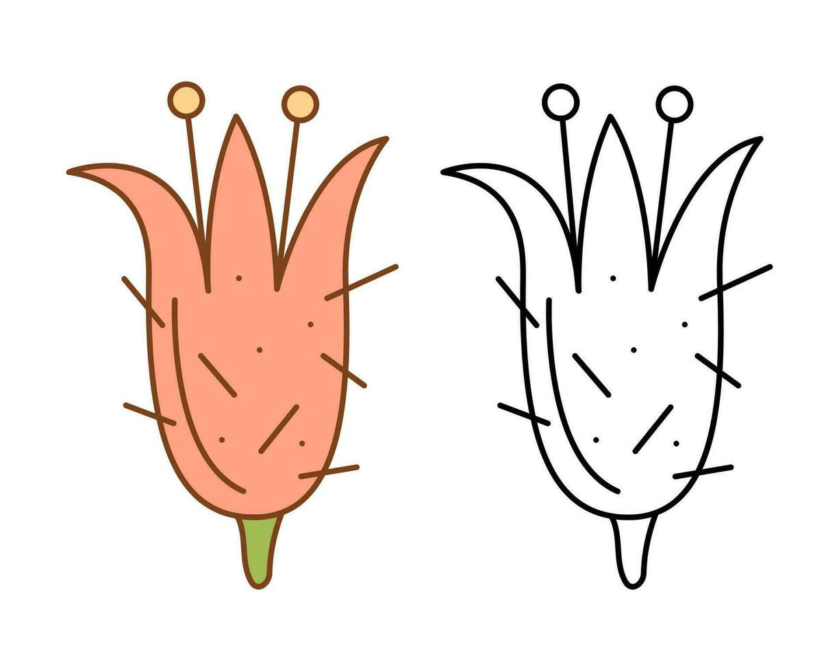 Cactus flower. Flat color and black and white vector illustration.