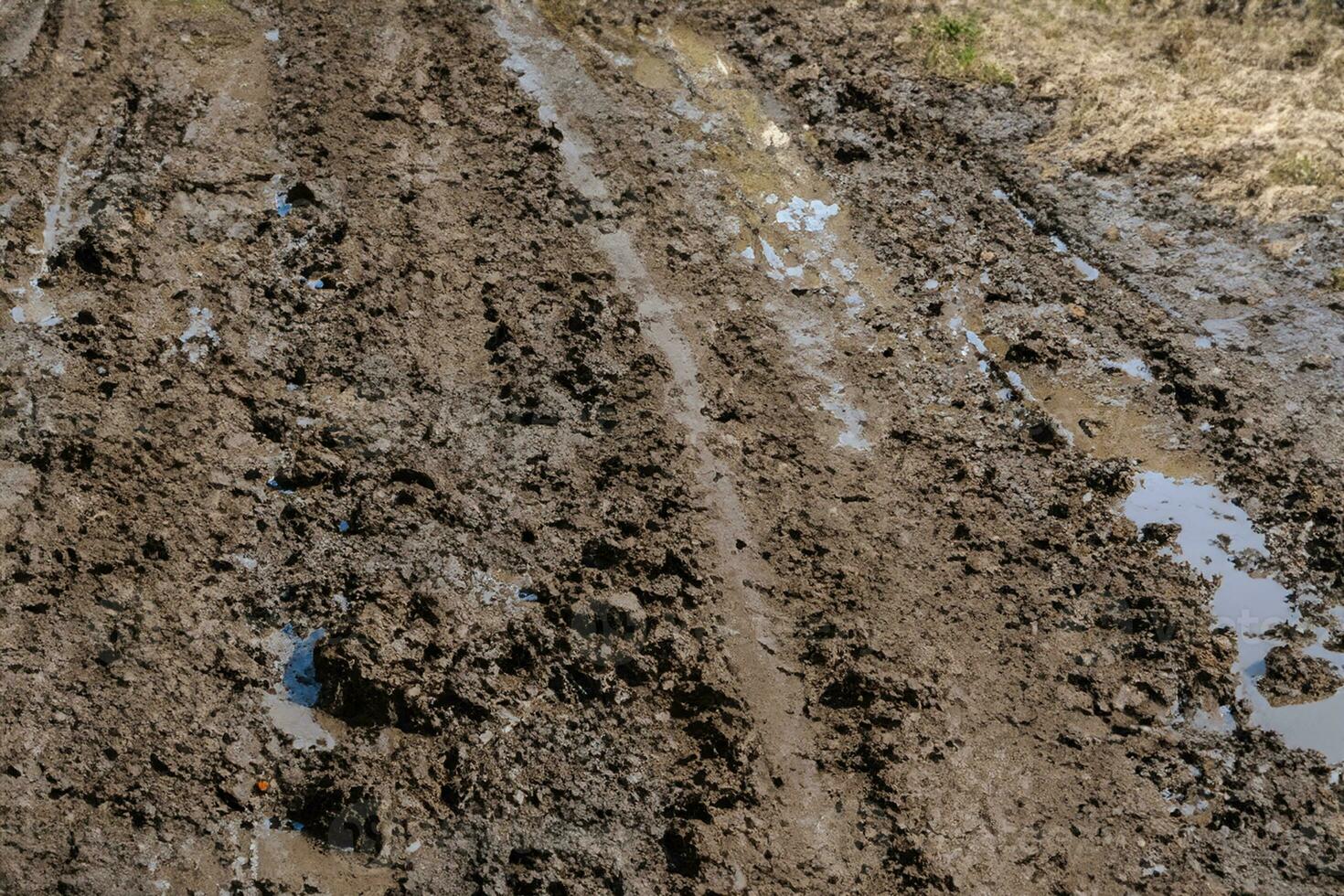 dirt tracks on the sand of the road, aerial view. photo