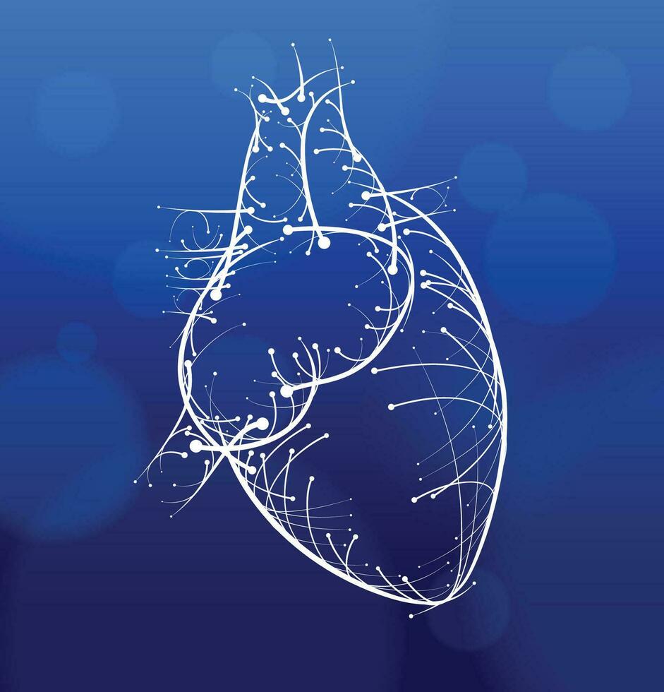 Illustration of white lines and intersection of hearts Modern style on a dark blue background. vector