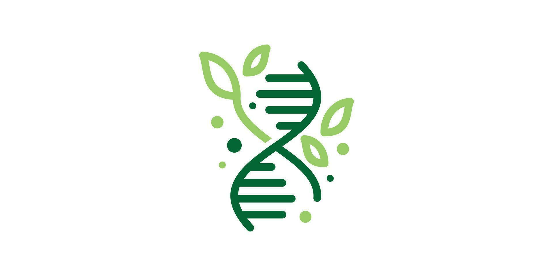 logo combination of illustrations of genetic shapes with leaves, icons, vectors, symbols. vector