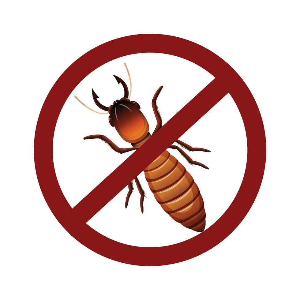 no bug sign icon vector design