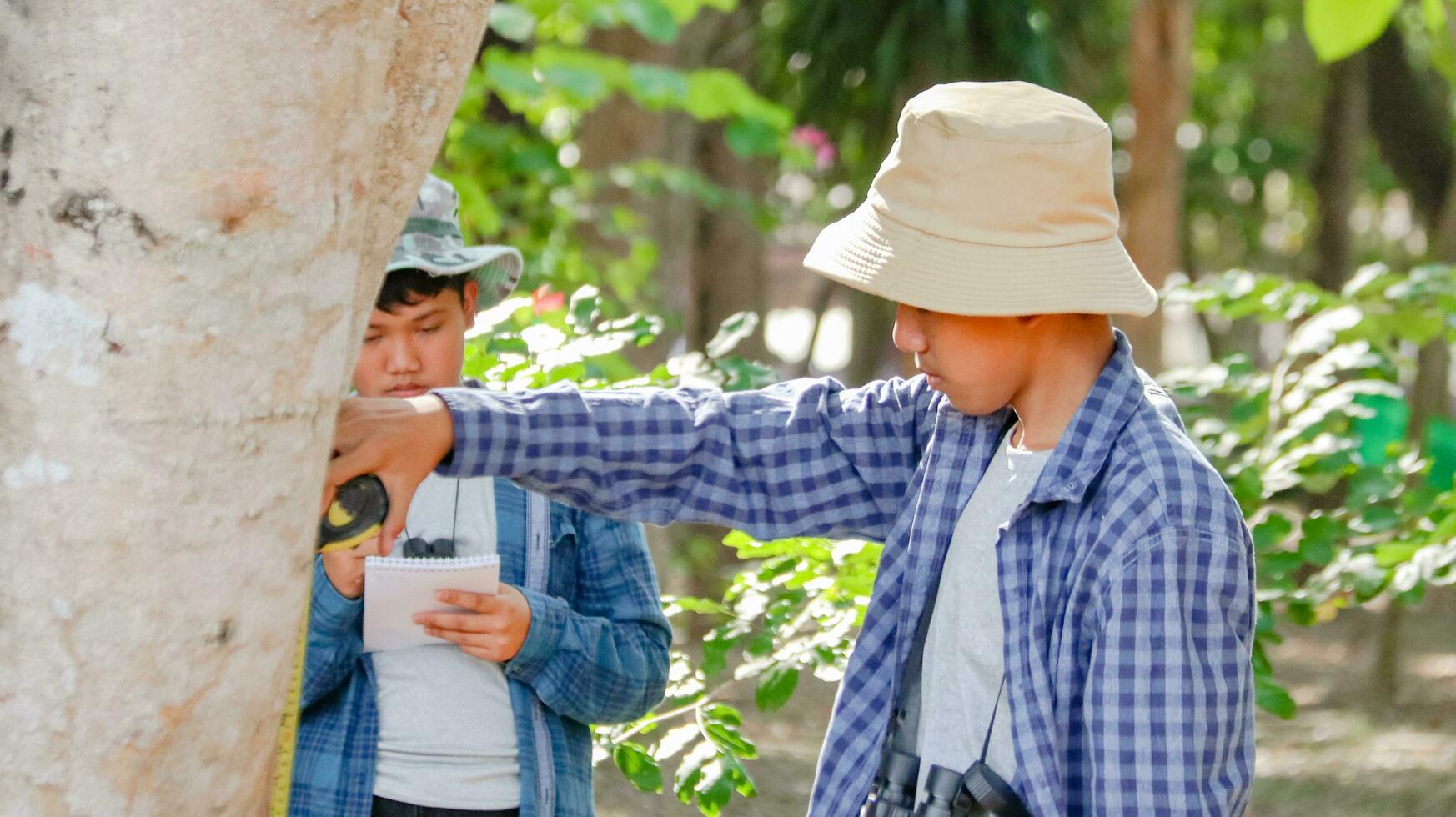 Young Asian boys are using a measure tape to measure a tree in a local park, soft and selective focus photo