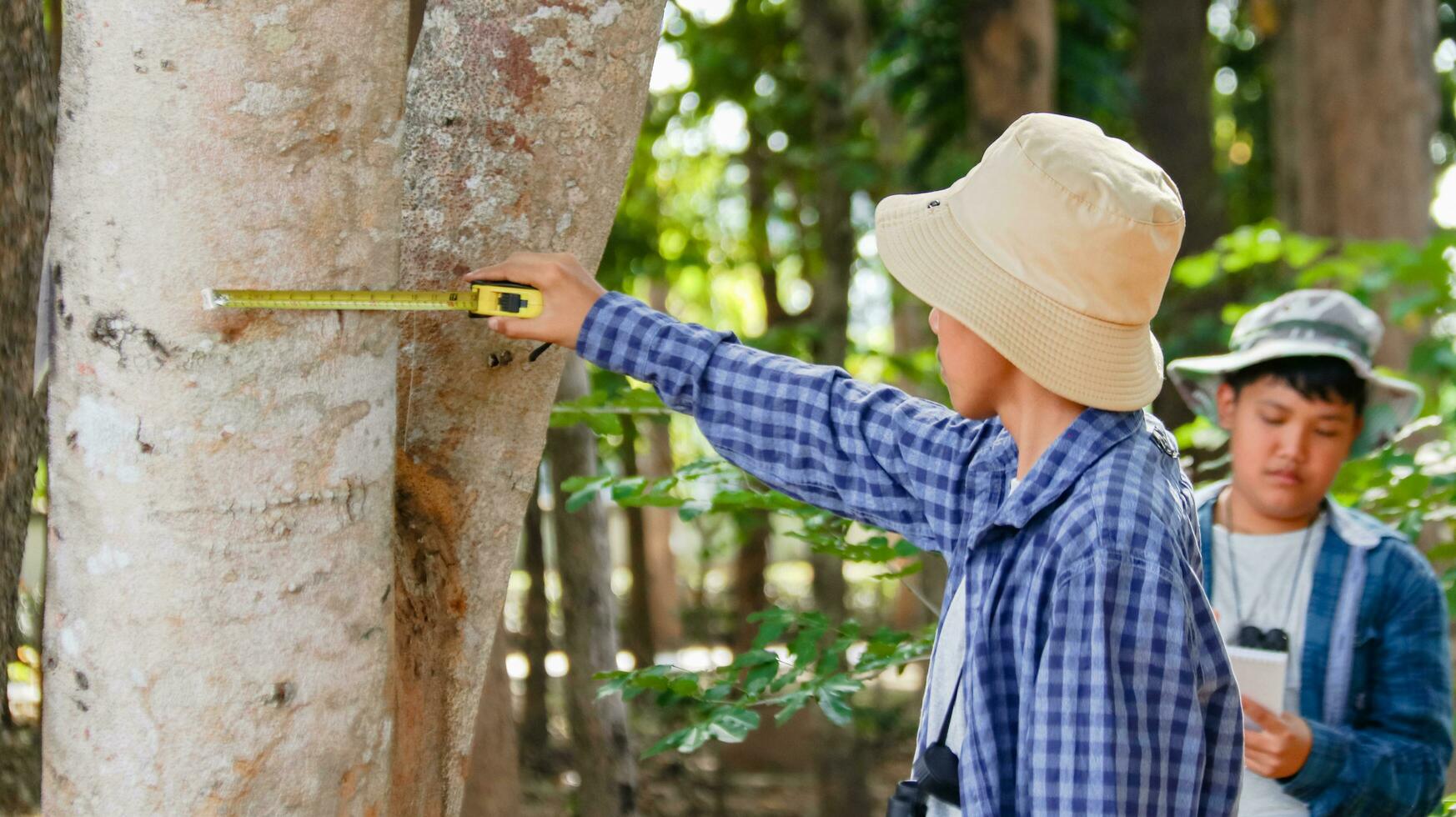 Young Asian boys are using a measure tape to measure a tree in a local park, soft and selective focus photo