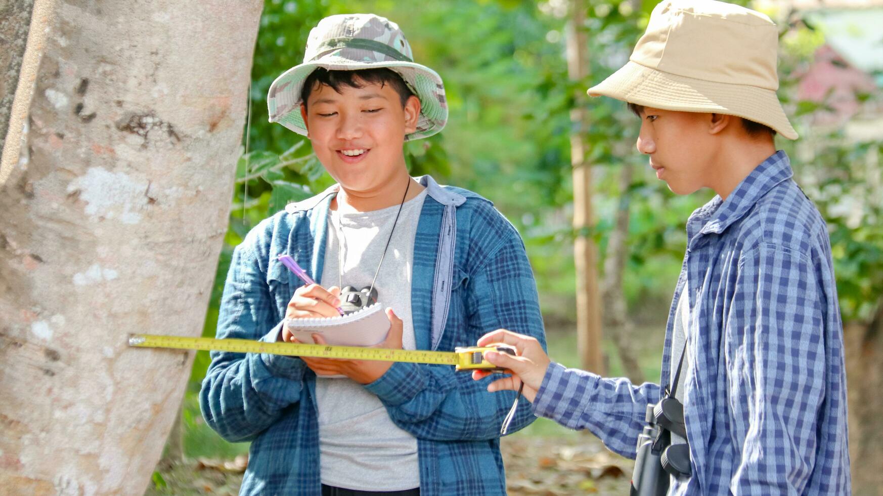 Young Asian boys are using a measure tape to measure a tree in a local park, soft and selective focus photo