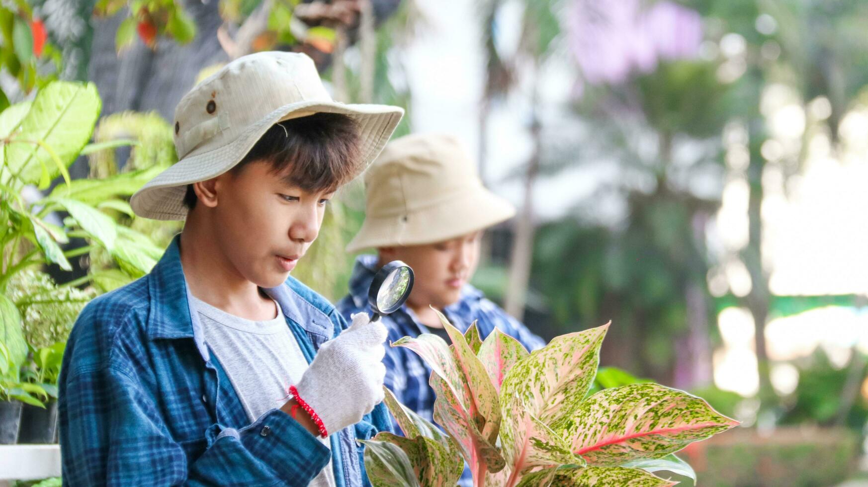 Young boy is using a small magnifying glass to inspect and to study plant in botanical garden, soft and selective focus photo