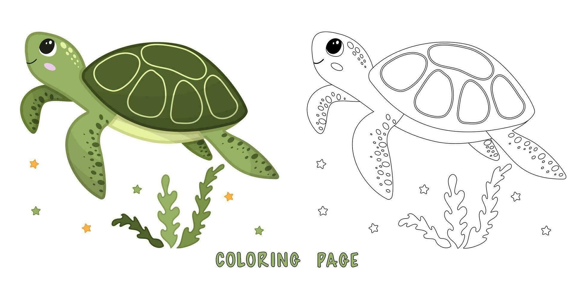 Coloring page of turtle vector