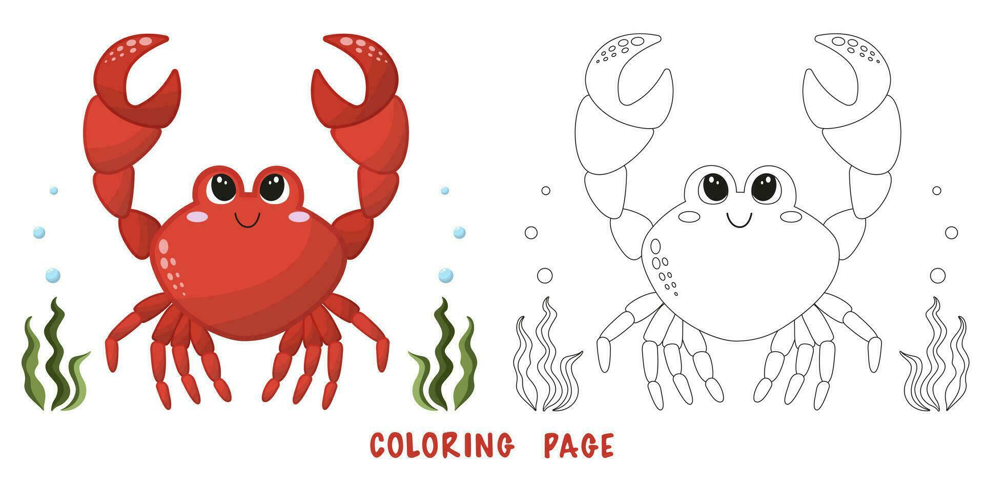 Coloring page of crab vector