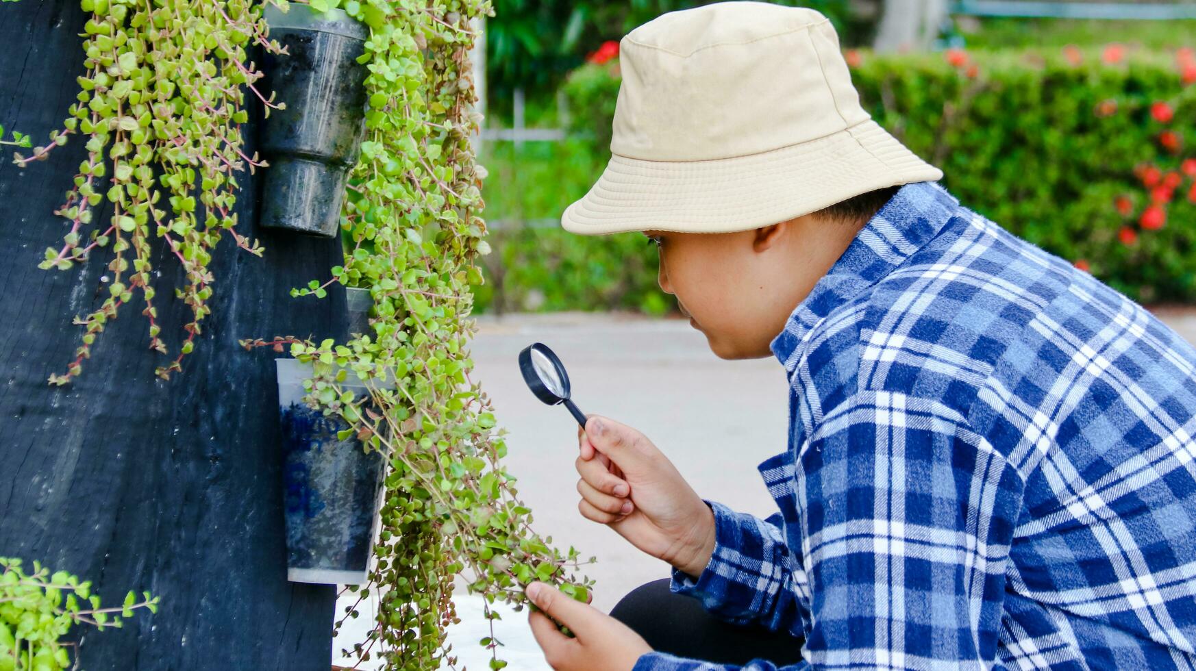 Young boy is using a small magnifying glass to inspect and to study plant in botanical garden, soft and selective focus photo