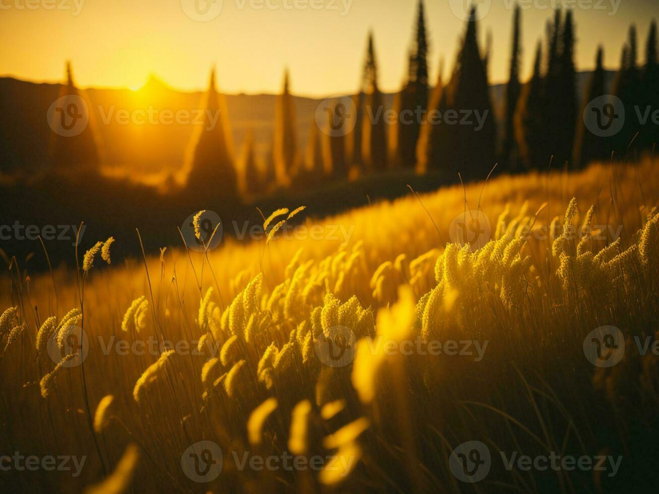 AI generated Glowing Fields of Winter Soft Focus Sunset Meadow with Yellow Flowers Nature's Embrace. A Symphony of Colors Warm Winter Sunset Meadow with Abstract Soft Focus Nature Harmony. photo