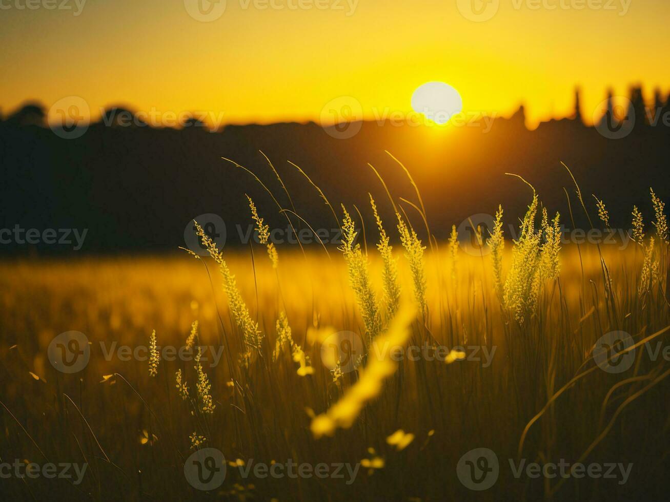 AI generated Abstract soft focus sunset field landscape of yellow flowers and grass meadow warm golden hour sunset sunrise time. Tranquil spring summer nature closeup and blurred forest background. photo