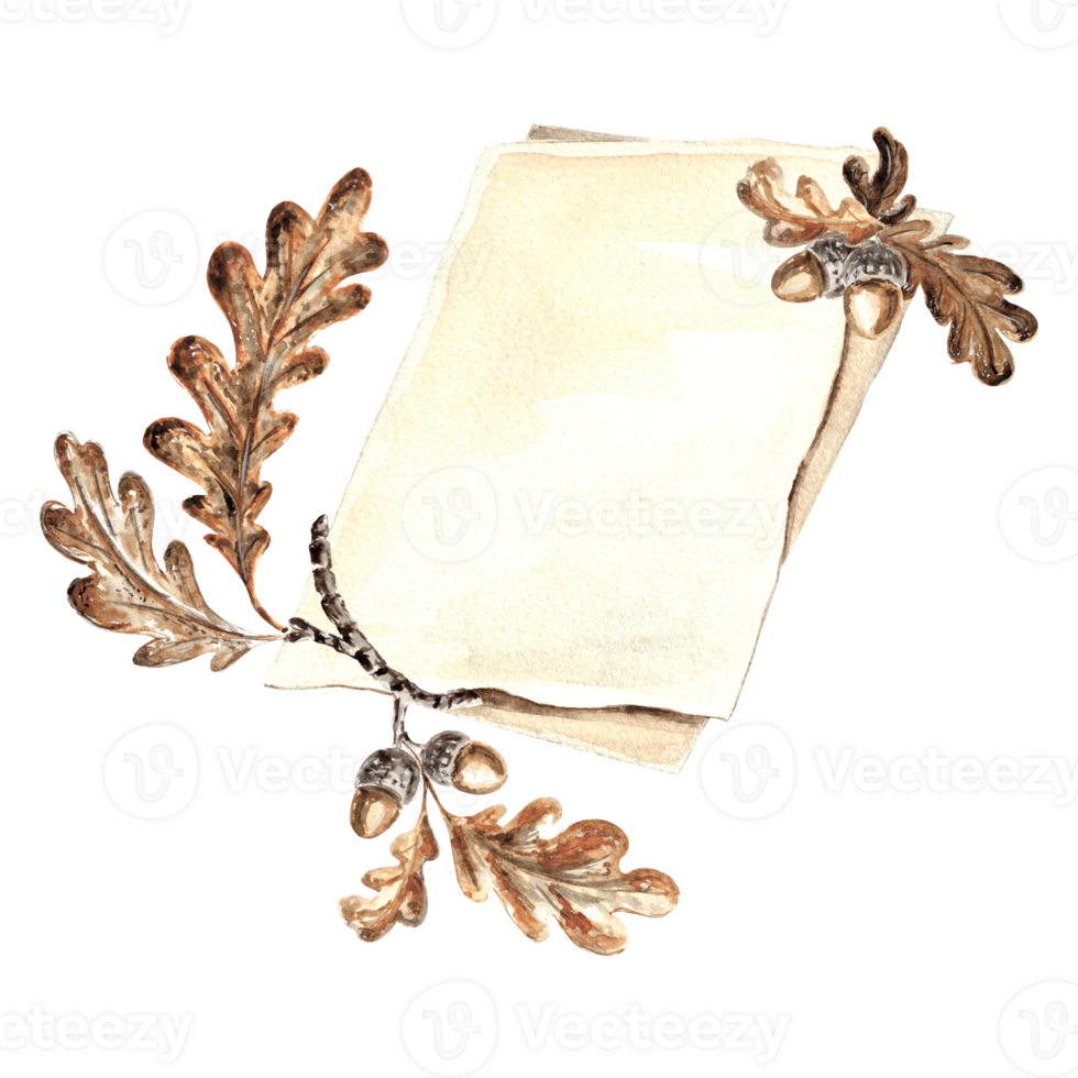 Watercolor sheets with oak branch, acorns and leaves. Template illustration old writing stationery. Hand drawn isolated illustration for invitations and cards, printing on packaging, making stickers png