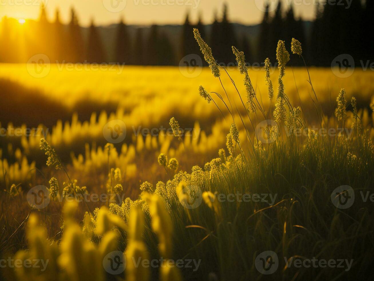 AI generated Abstract soft focus sunset field landscape of yellow flowers and grass meadow warm golden hour sunset sunrise time. Tranquil spring summer nature closeup and blurred forest background. photo