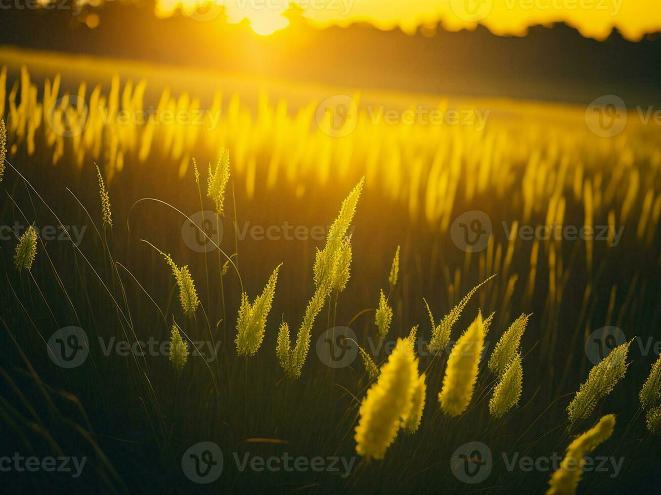 AI generated Abstract soft focus sunset field landscape of yellow flowers and grass meadow warm golden hour sunset sunrise time. Tranquil spring summer nature closeup and blurred forest background. photo