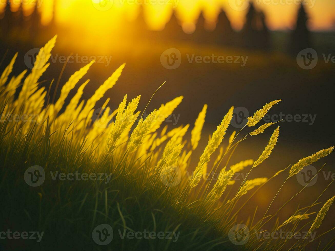 AI generated Abstract soft focus sunset field landscape of yellow flowers and grass meadow warm golden hour sunset sunrise time. Tranquil spring summer nature closeup and blurred forest background. photo