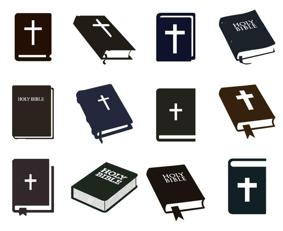 santo Biblia icono conjunto vector