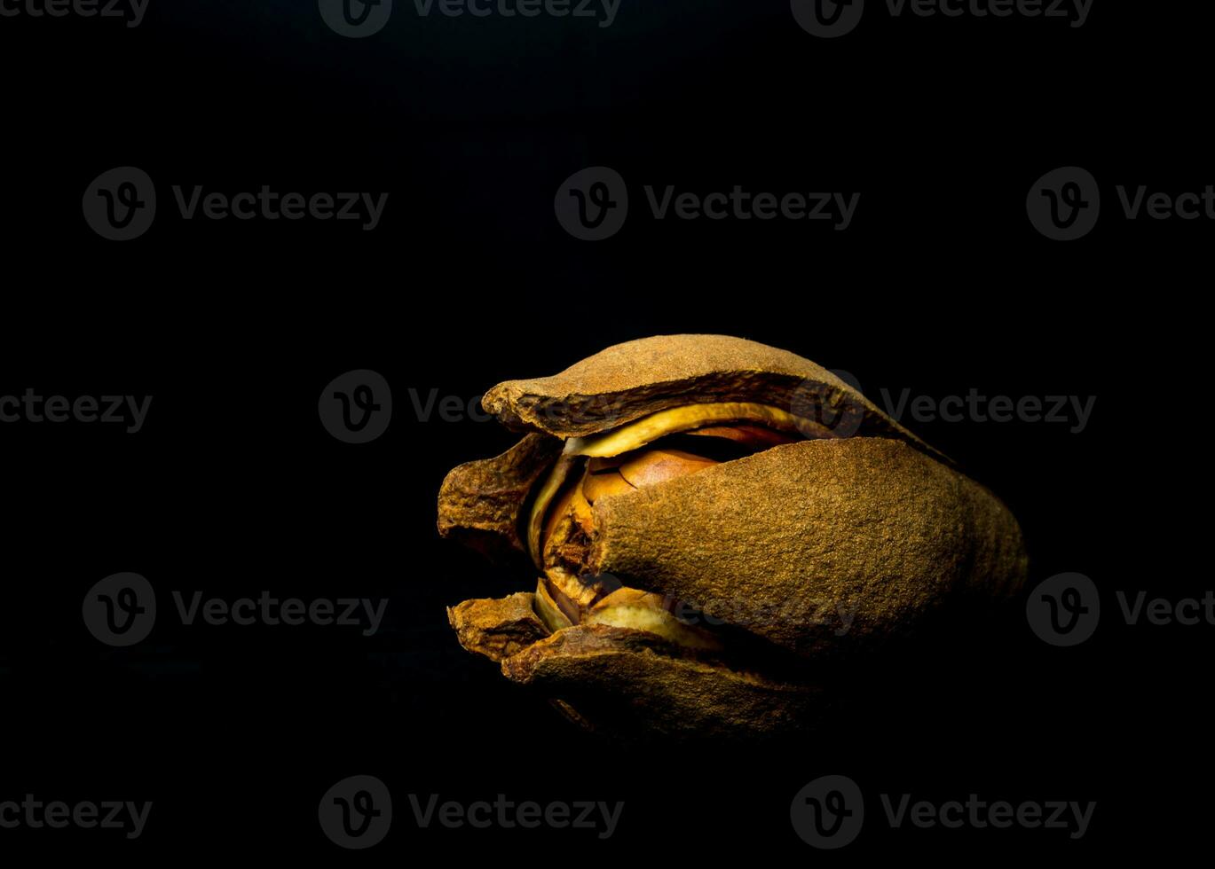 Pods and seeds of Mahogany on black background photo