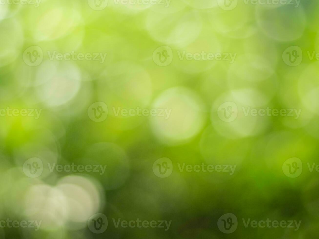 Natural outdoors bokeh background in gold sunlight with green and yellow tones, Blurred light and leaf background with bokeh photo