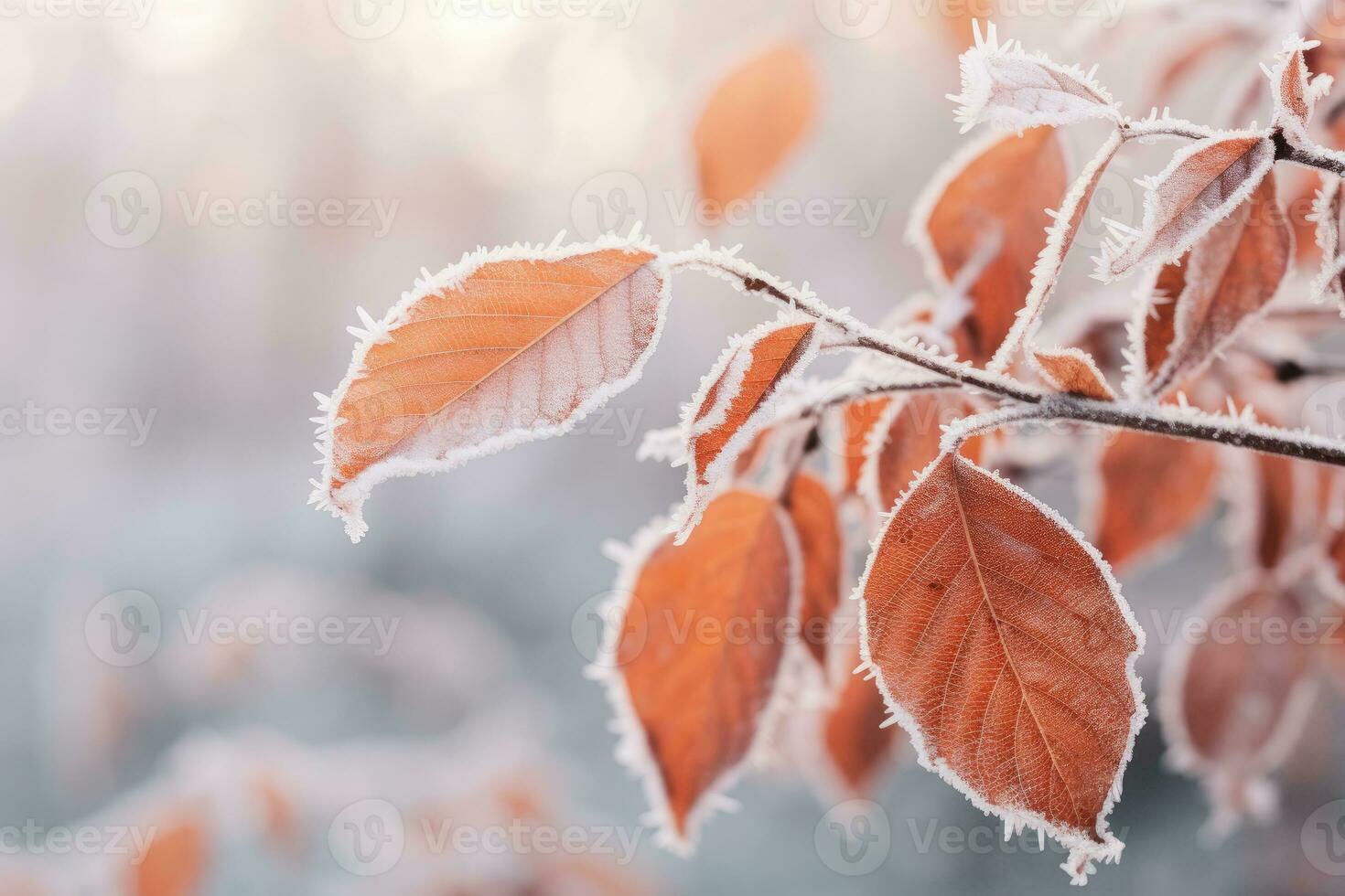 AI generated Orange beech leaves covered with frost in late fall or early winter. photo