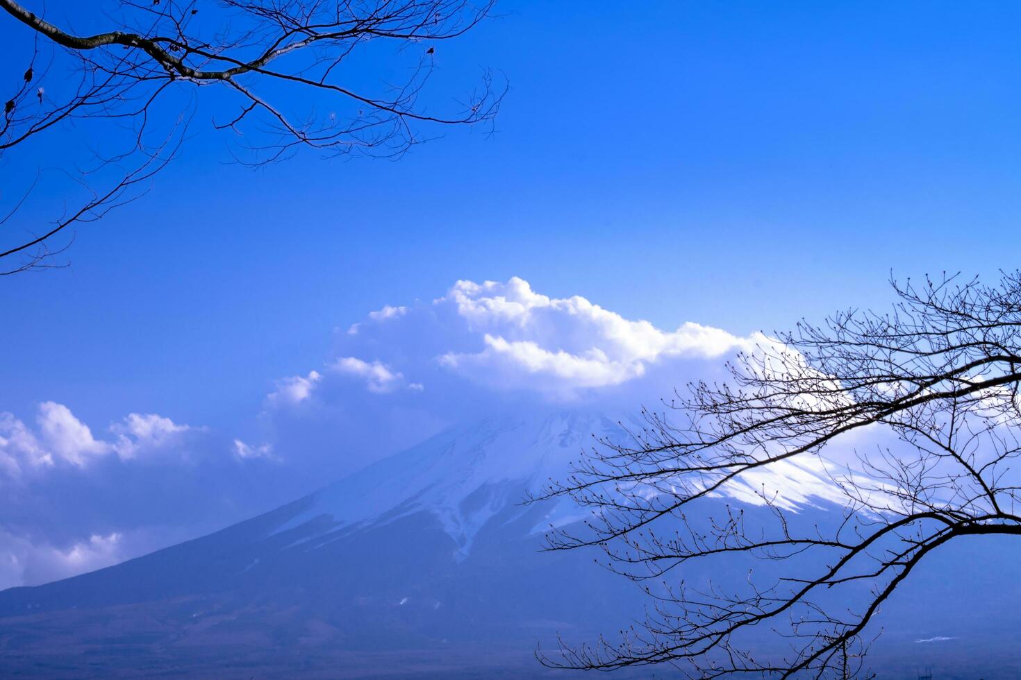 Mount Fuji, large clouds covering the top of the mountain.Landscape View With Water At Kawaguchiko Lake, Japan photo