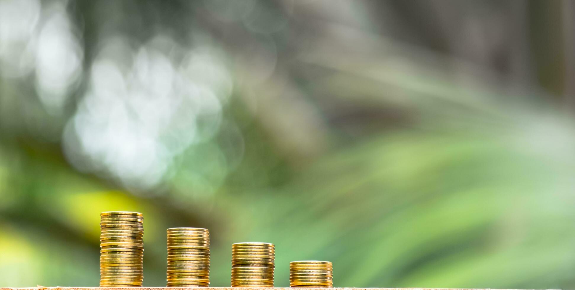 Business Finance and Money concept, Money coin stack growing graph with green tree bokeh background,investment concept photo
