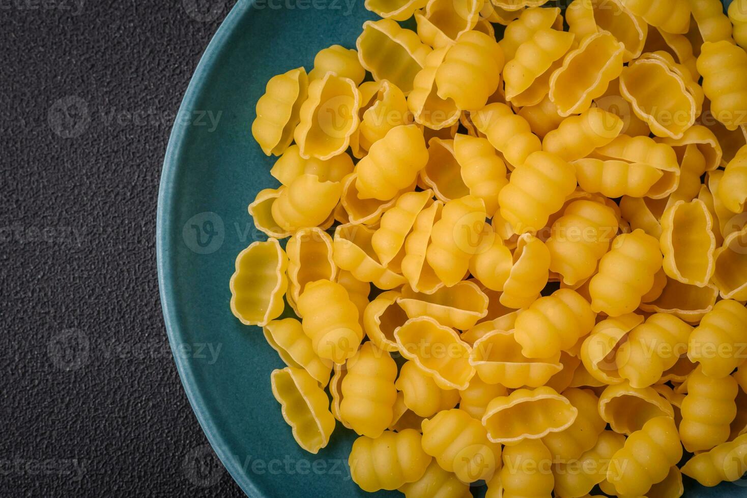 Raw durum wheat gnocchi pasta with salt and spices in a ceramic plate photo