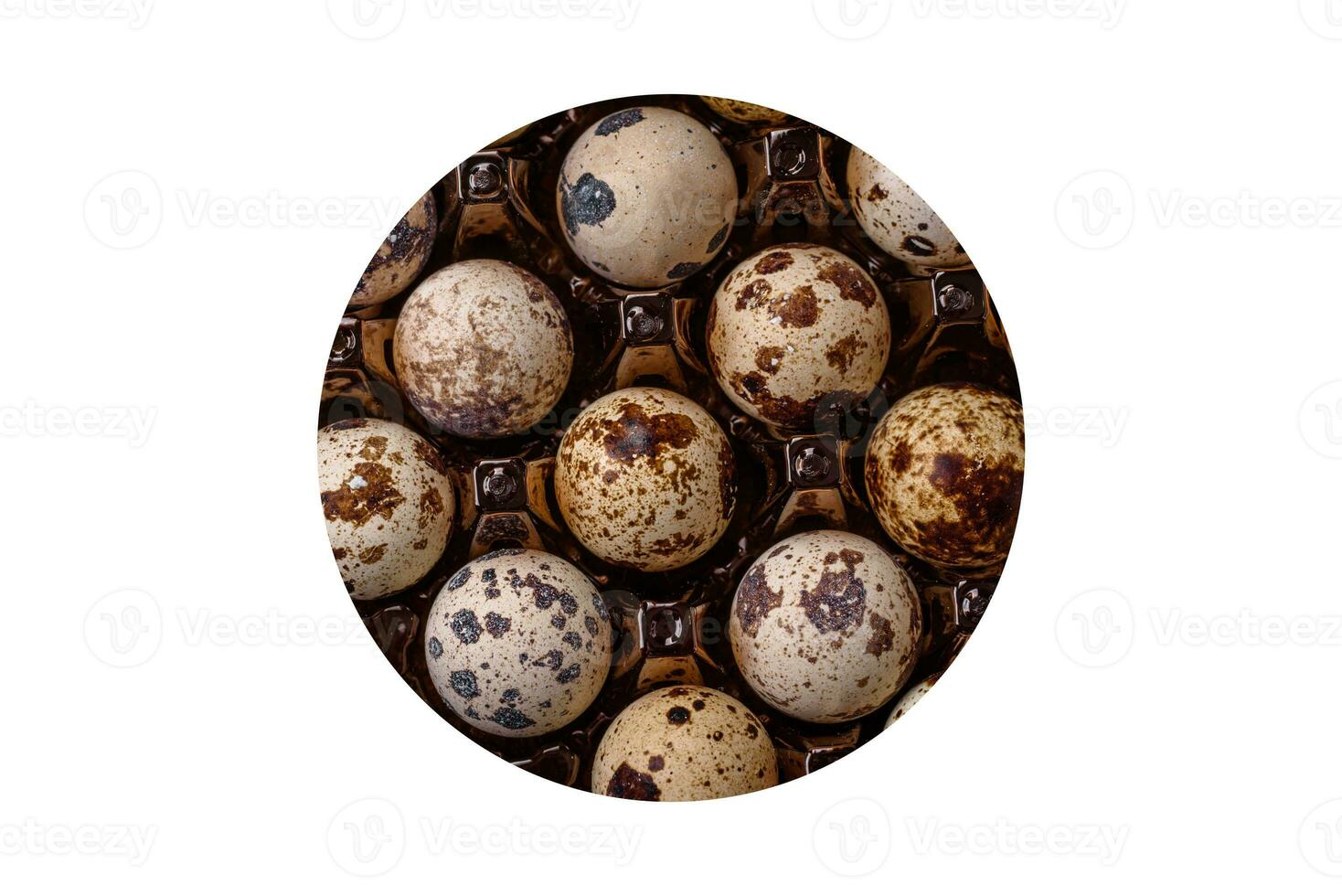 Raw quail eggs in a plastic box on a dark concrete background photo