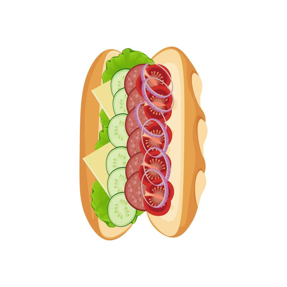 Delicious Baguette sandwich With vegetables beef Salami and cheese vector