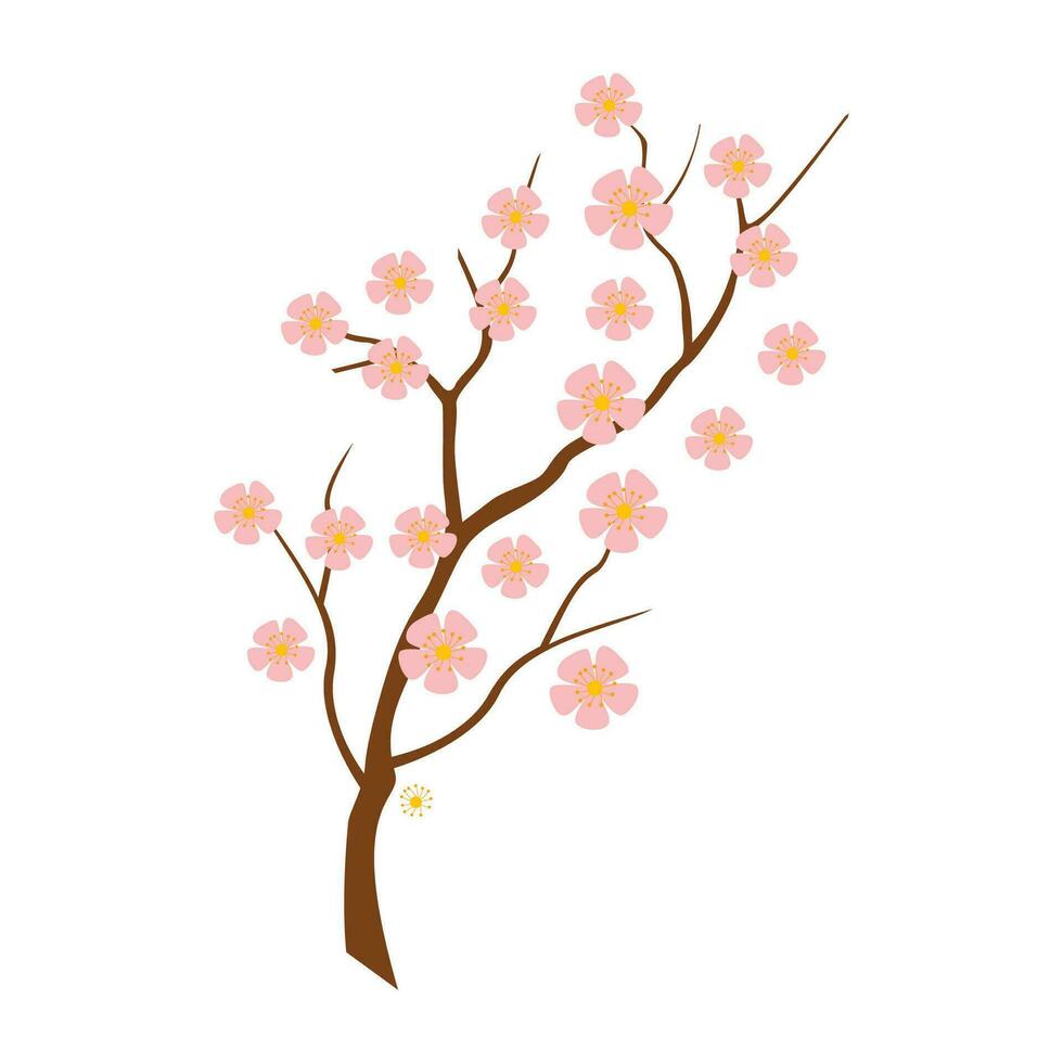 vector realista Cereza florecer rama. Cereza florecer con rosado sakura flor vector