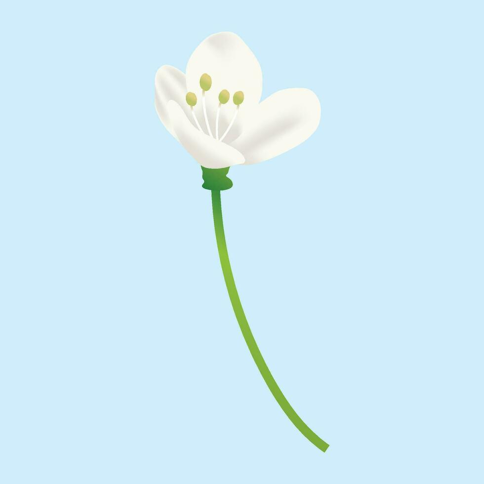 Vector spring flowers. 3d realistic on white