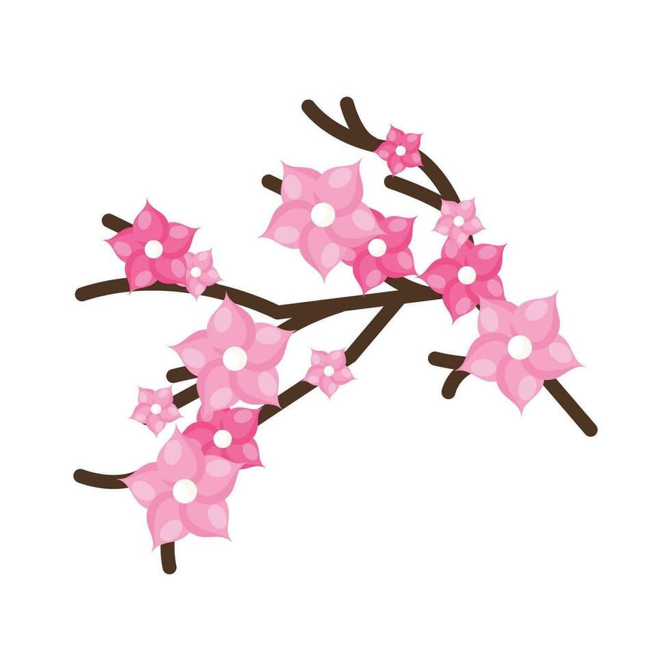 Vector branches with cherry blossoms on white