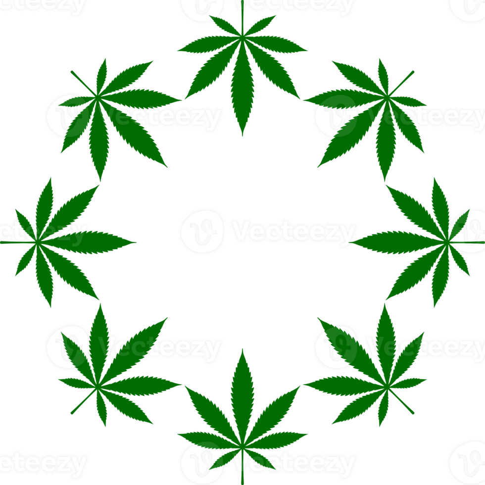 Cannabis also known as Marijuana Plant Leaf Silhouette Circle Shape Composition, can use for Decoration, Ornate, Wallpaper, Cover, Art Illustration, Textile, Fabric, Fashion, or Graphic Design Element png