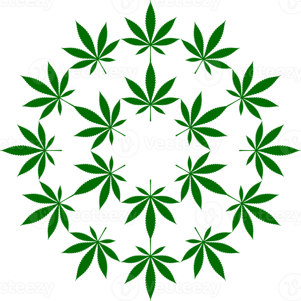 Cannabis also known as Marijuana Plant Leaf Silhouette Circle Shape Composition, can use for Decoration, Ornate, Wallpaper, Cover, Art Illustration, Textile, Fabric, Fashion, or Graphic Design Element png