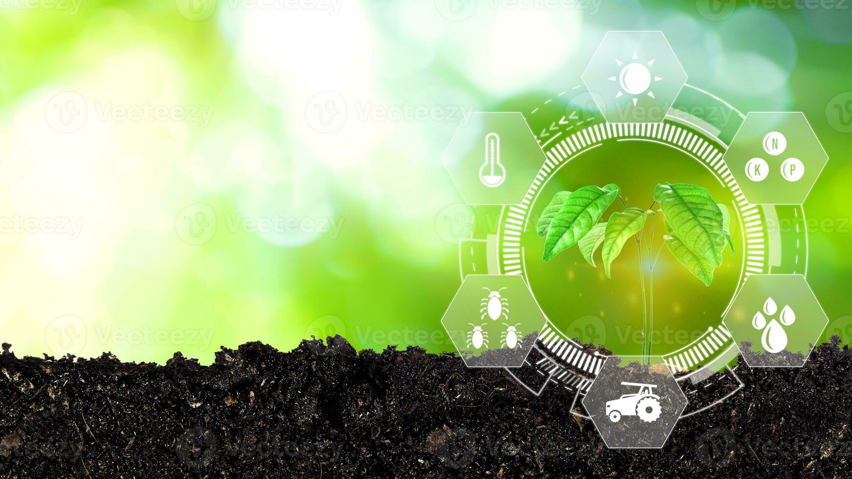 Seedling in cultivated agricultural field with infographics, Smart farming and precision agriculture with visual icon, digital technology agriculture and smart farming concept. photo