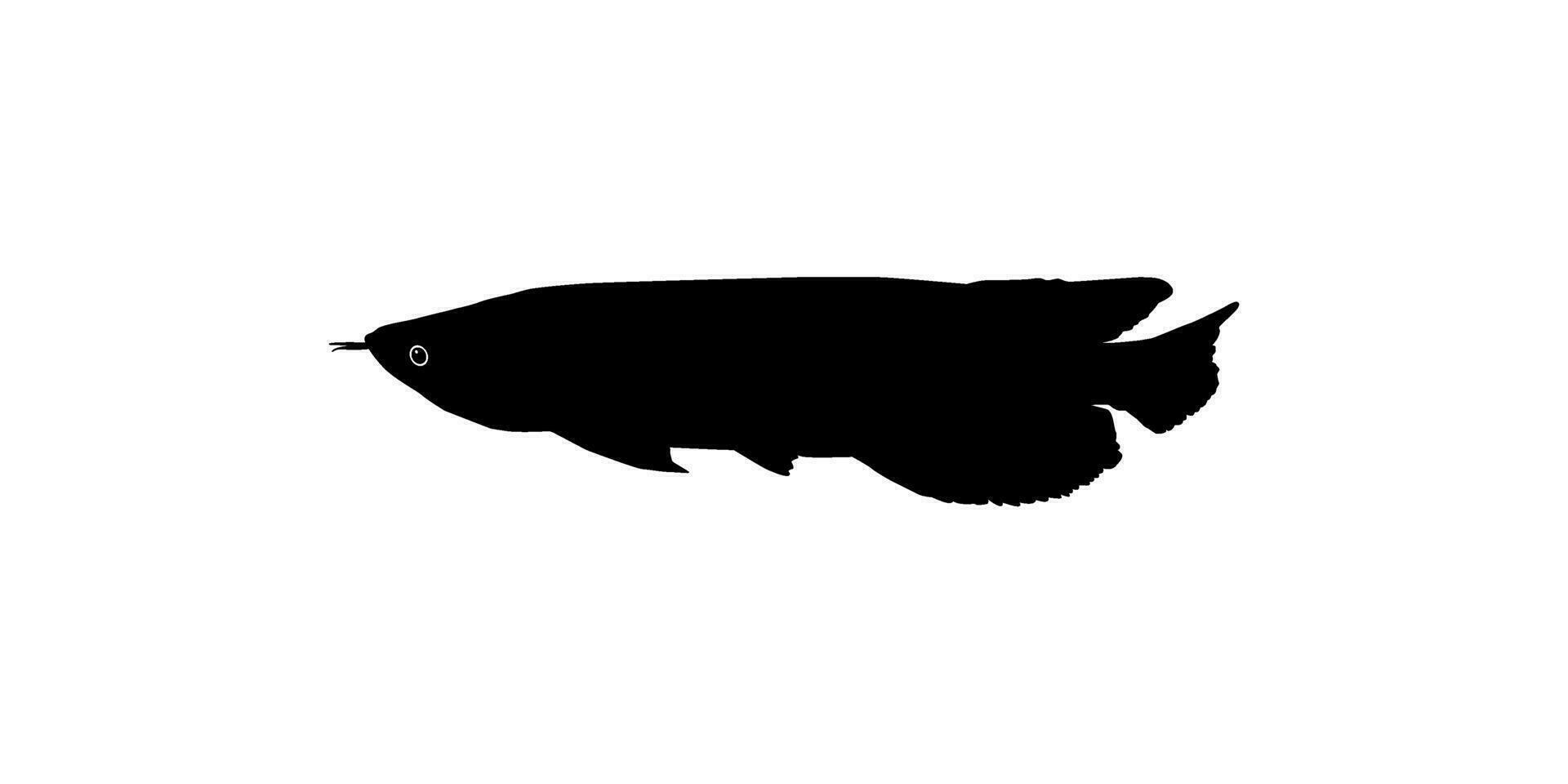 Silhouette of the Arowana or Arwana also known as Dragon Fish, for Art Illustration, Logo Type, Pictogram, Website or Graphic Design Element. Vector Illustration