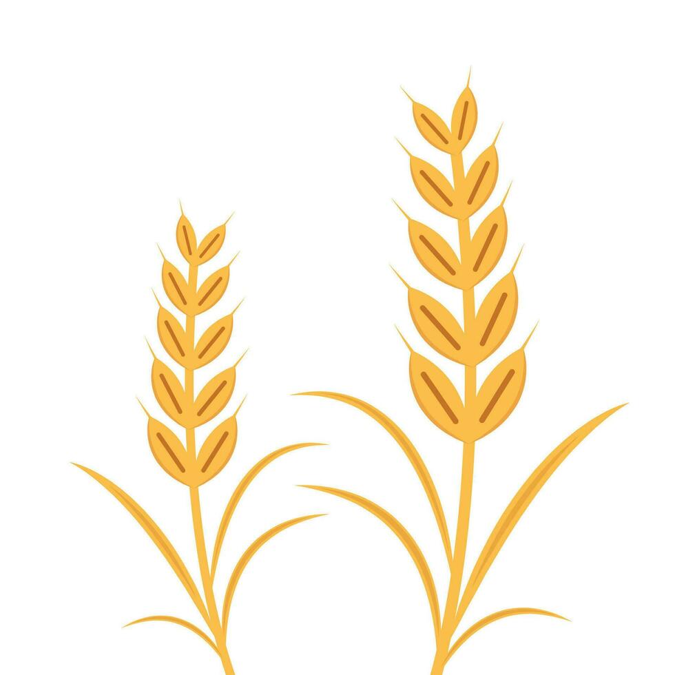 Rice symbol. Wheat symbol vector. wallpaper. logo design. Paddy vector. vector