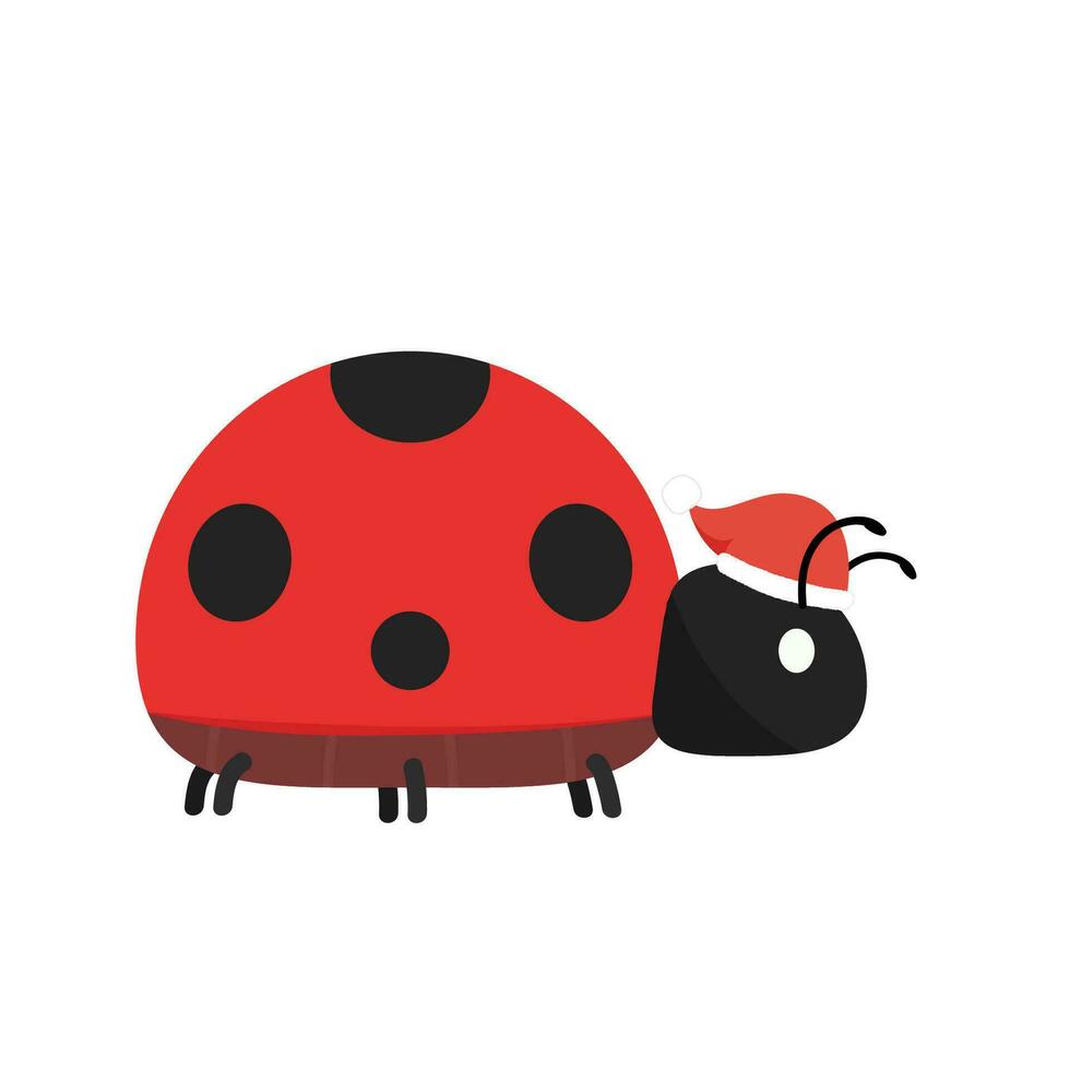 Ladybug vector. Ladybug on white background. wallpaper. symbol. vector