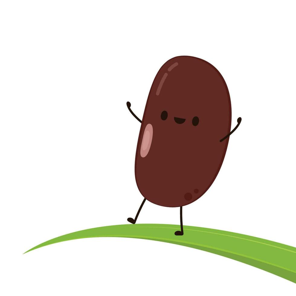 Kidney bean character. Kidney bean on white background. vector