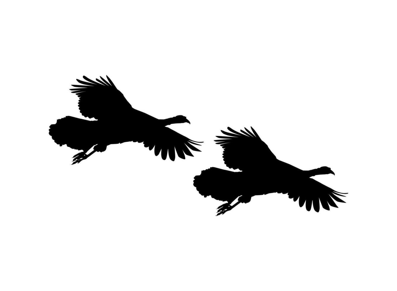 par de el volador Turquía silueta para Arte ilustración, pictograma o gráfico diseño elemento. el Turquía es un grande pájaro en el género meleagris. vector ilustración